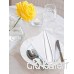 Utopia Kitchen - Serviettes de Table en Coton - Paquet de 12 46 x 46 cm  Blanc - B00L1HZD1W